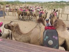 iphone_upload_pic-玉龙沙湖景区