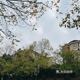 生活随拍