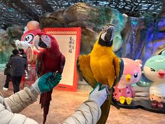 -杭州开元森泊度假乐园