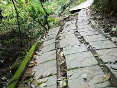 -火炉山森林公园
