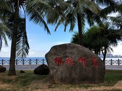 -万绿园