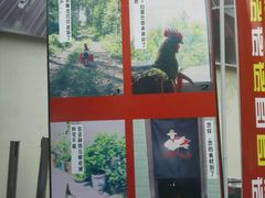 -降龙爪爪(建设路2店)
