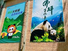 -西安电影制片厂