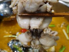 -蛙两只美蛙鱼头火锅(恒茂店)
