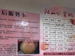 -老袁家蜜桃农场·阳山水蜜桃