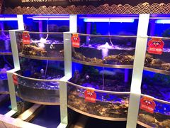 水产区-七欣天香辣蟹火锅(南京建宁路大观天地店)