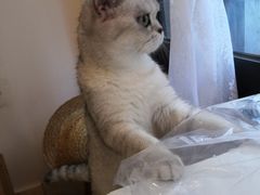 -觅时光手作·香薰·拼豆豆·陶艺DIY