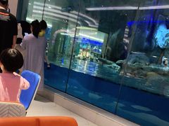 -帝企鹅自助餐厅•儿童岛•真企鹅(长隆企鹅酒店)