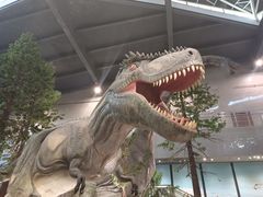 -湖南省地质博物馆