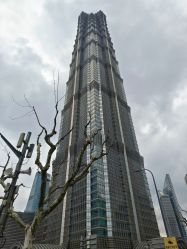 -上海金茂君悦大酒店·宴会厅