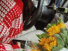 -溪岸路花鸟市场