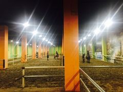 -四维羽毛球馆(北二中路店)