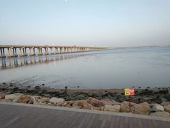 -宝安西湾红树林湿地公园