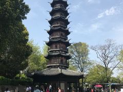 -上海佘山国家森林公园西佘山园