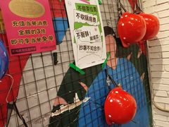 -粉灯牛腩牛杂煲·鸡煲(双井店)