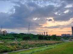 -大亚湾红树林城市湿地公园
