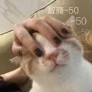 -奶奶的美食(悦立方店)
