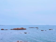 -八大关景区