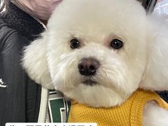 -中农大我爱我爱24h动物医院·中医针灸·猫专科·骨科医疗中心(双井店)