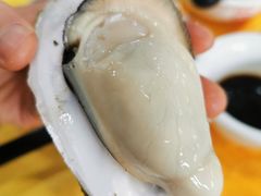 -蚝专家(北滘店)