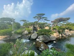 -罗红摄影艺术馆