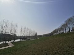 -洨河生态公园