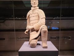 -秦始皇帝陵博物院(兵马俑)