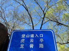 -白水寺森林公园
