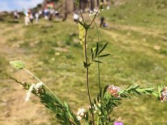 -石条山