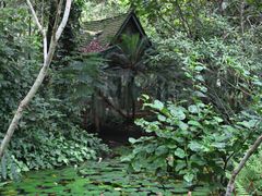 -中国科学院西双版纳热带植物园