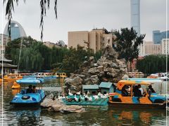 -团结湖公园