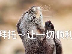 -白玉兰食品(汇联商厦店)