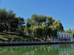 -皇家御河游(紫御湾码头)