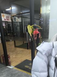 -藤野造型烫染·漂发