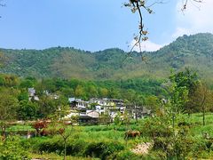 -塔川景区