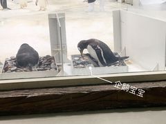 -杭州长乔极地海洋公园