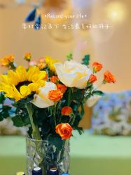 -隐逸SPA