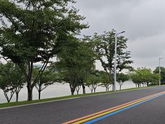 -羊山湖公园
