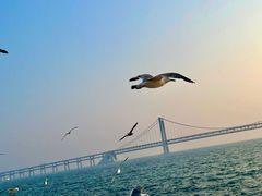 -星海广场