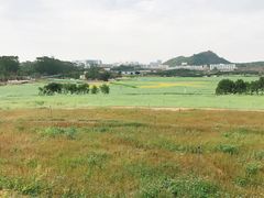 -光明小镇欢乐田园