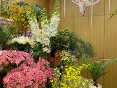 -蝶舍·MAISON PAPILLON