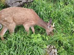-萍乡武功山风景名胜区
