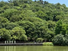 -绍兴镜湖国家城市湿地公园