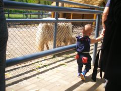 -长白岛森林公园