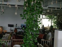 -水边(郯城店)