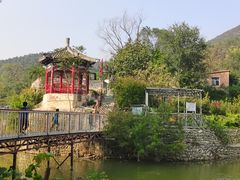 -双新垂钓园