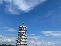 -嘉荫恐龙国家地质公园