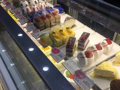 -天力卡拉优动物奶油生日蛋糕(鼓楼店)