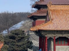 -北陵公园