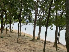 -凤岗南门山森林公园